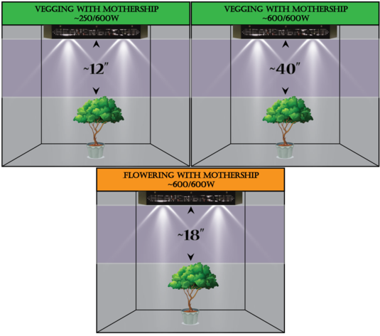 Diagram (600x529), Png Download