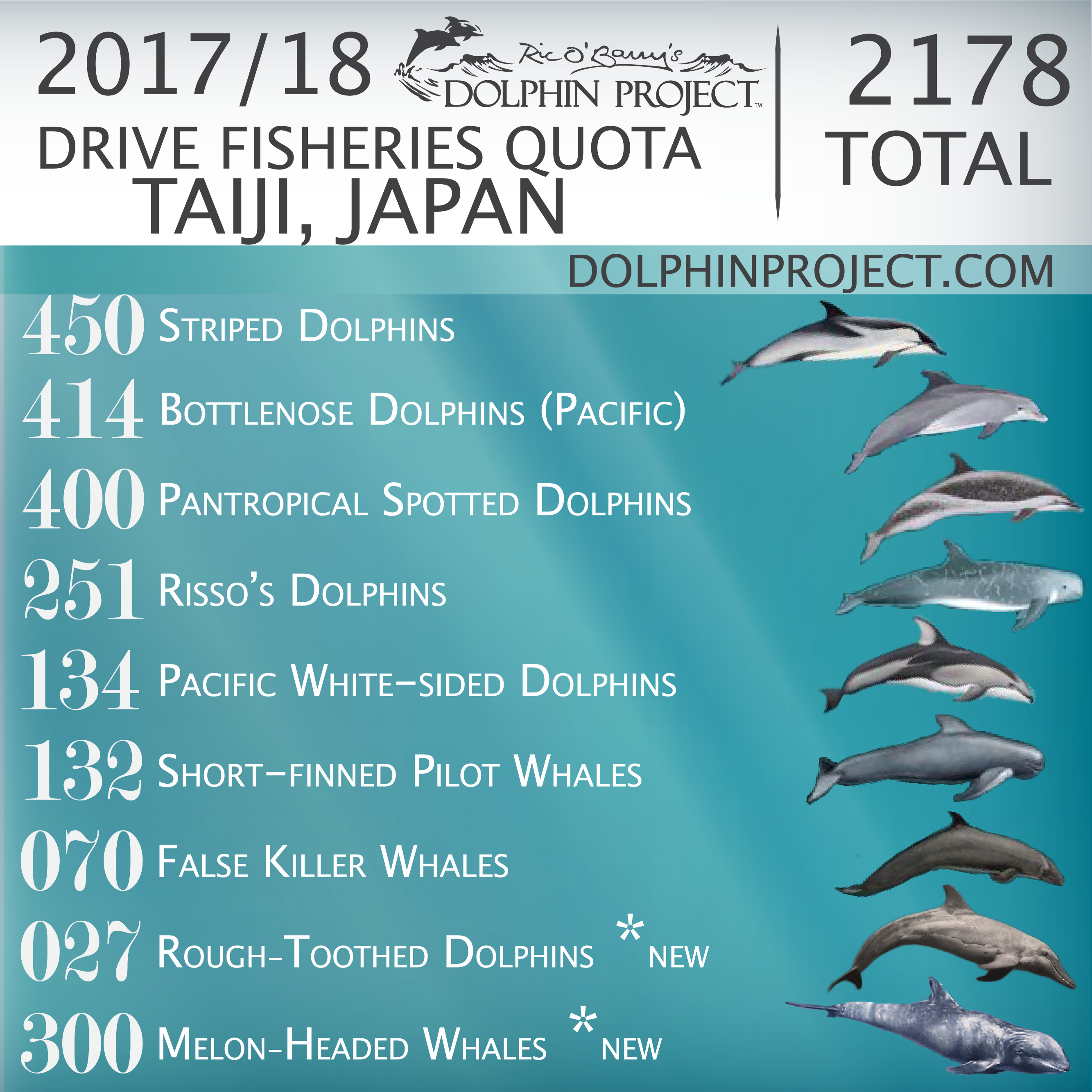 2017/18 Drive Fisheries Quota, Taiji, Japan - Taiji Japan Dolphin Slaughter 2018 (2667x2667), Png Download