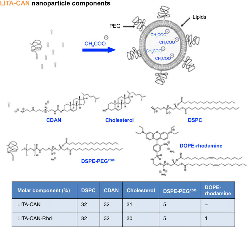 Figure S1 Lita Nanoparticle Design Principles And Percentage - Nanoparticle (850x783), Png Download