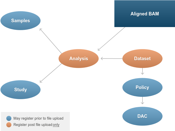 Aligned/ Mapped Sequence Reads - Diagram (750x600), Png Download