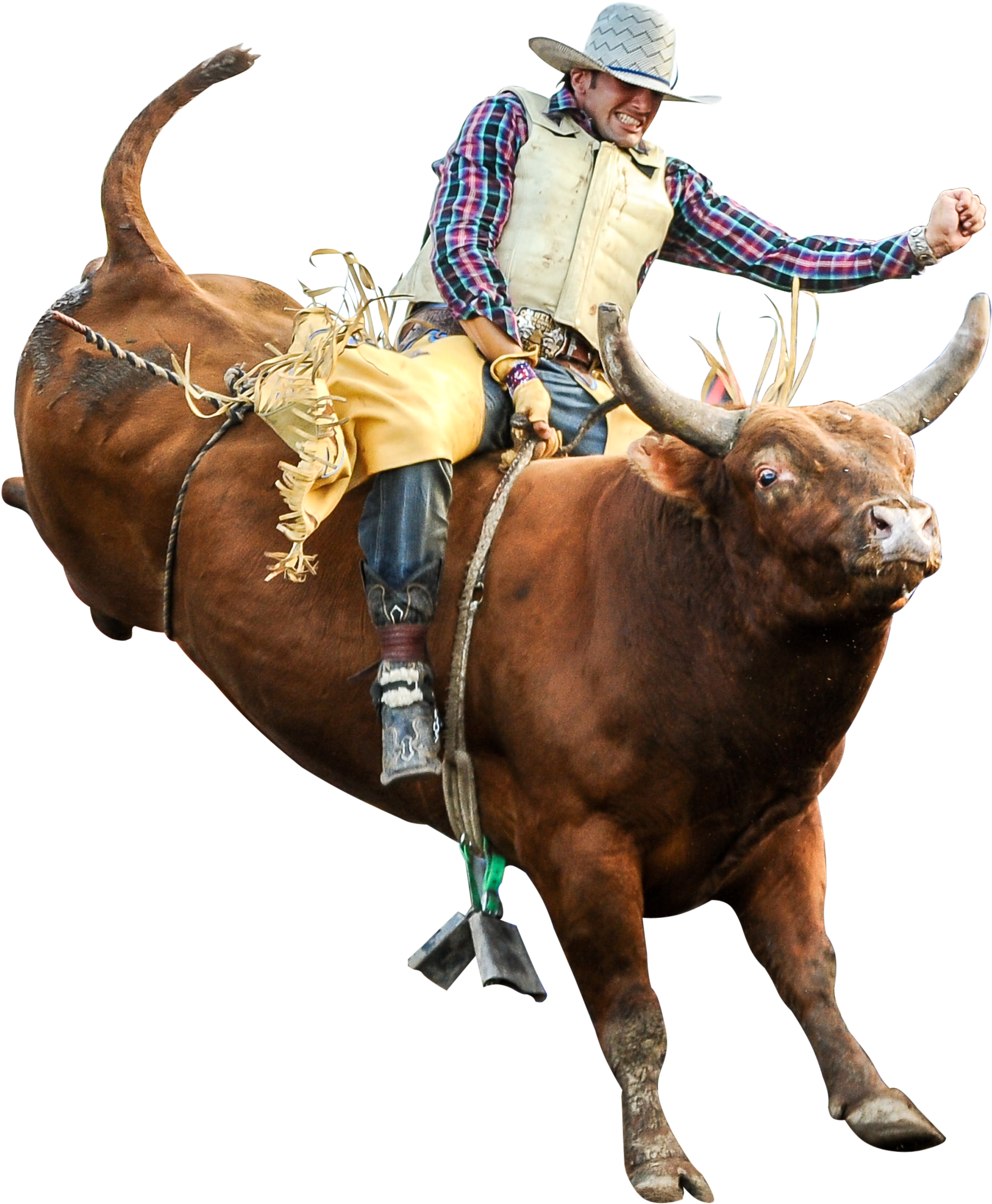 Riding Professional Riders Rodeo - Bull Riding Png (2476x2512), Png Download