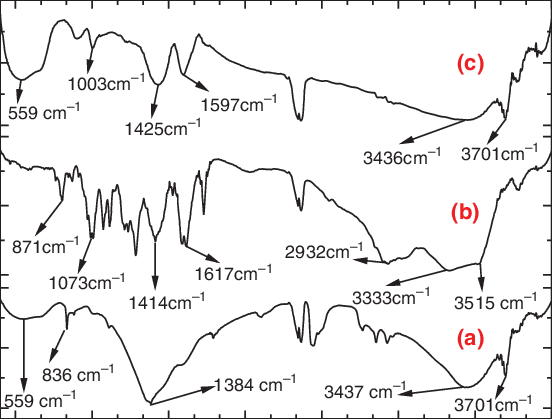 Ft-ir Spectra Of Mgo Nanoparticles, (b) Parent Doxo - Diagram (552x419), Png Download