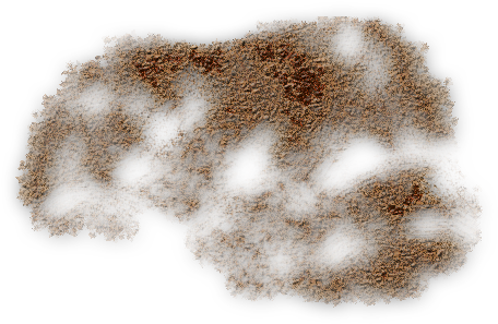 24 Mar 2009 - Mold Png (520x312), Png Download
