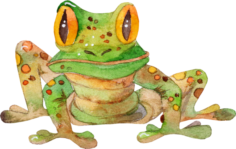 Image Du Blog Zezete2 - Painting (800x504), Png Download