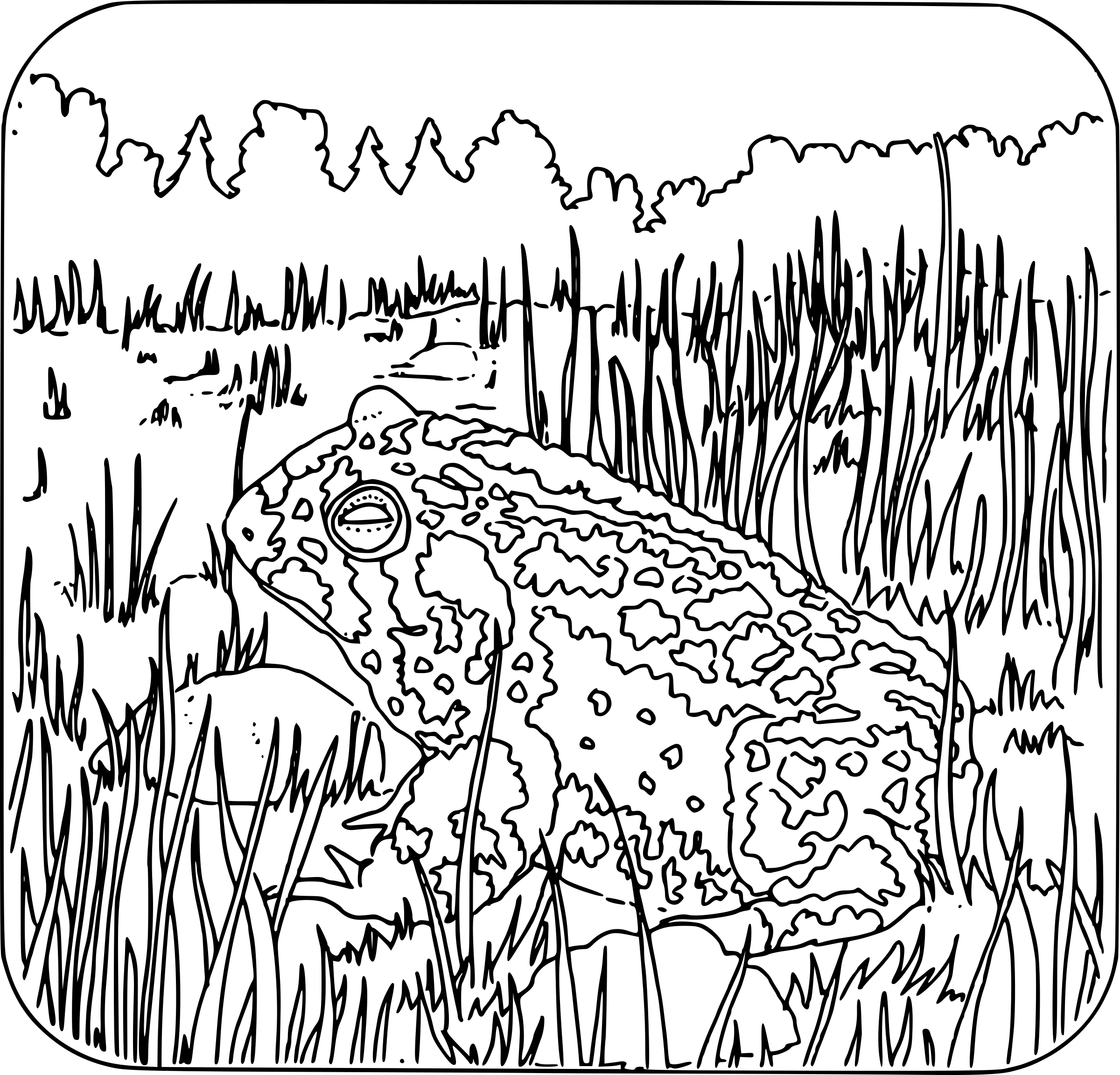 This Free Icons Png Design Of Coloring Book (2400x2303), Png Download