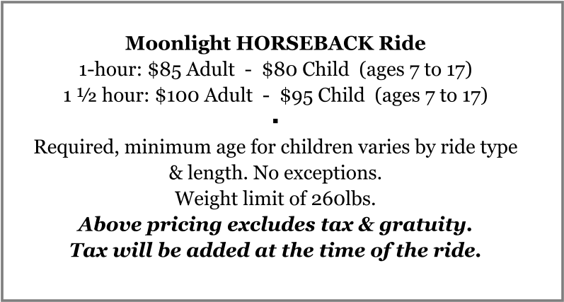 Moonlight Horseback Ride 1-hour - Child (796x446), Png Download