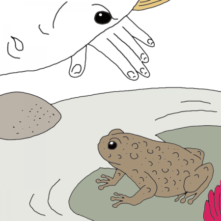 Toad - Spirit (450x450), Png Download
