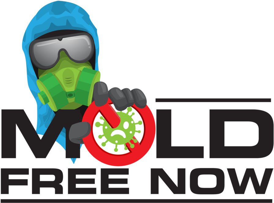 Download Mold Free Clipart Indoor Mold Mold Control - Illustration (900x669), Png Download