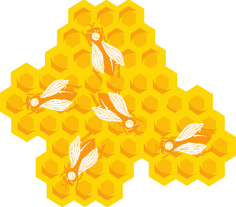 Mb Image/png (800x700), Png Download