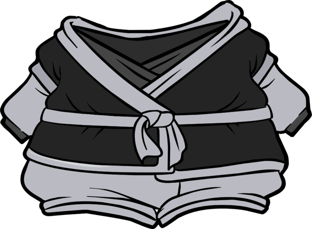 Snowstorm Gi Clothing Icon Id 4837 - Wiki (640x471), Png Download