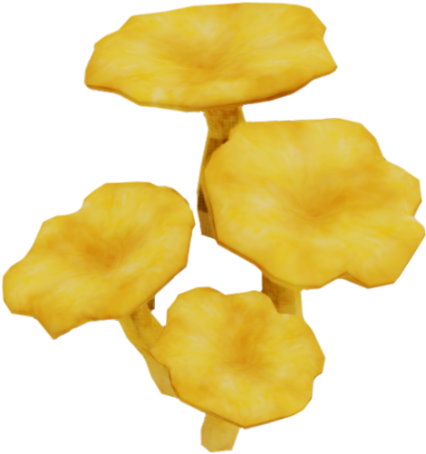 Chanterelle (500x500), Png Download