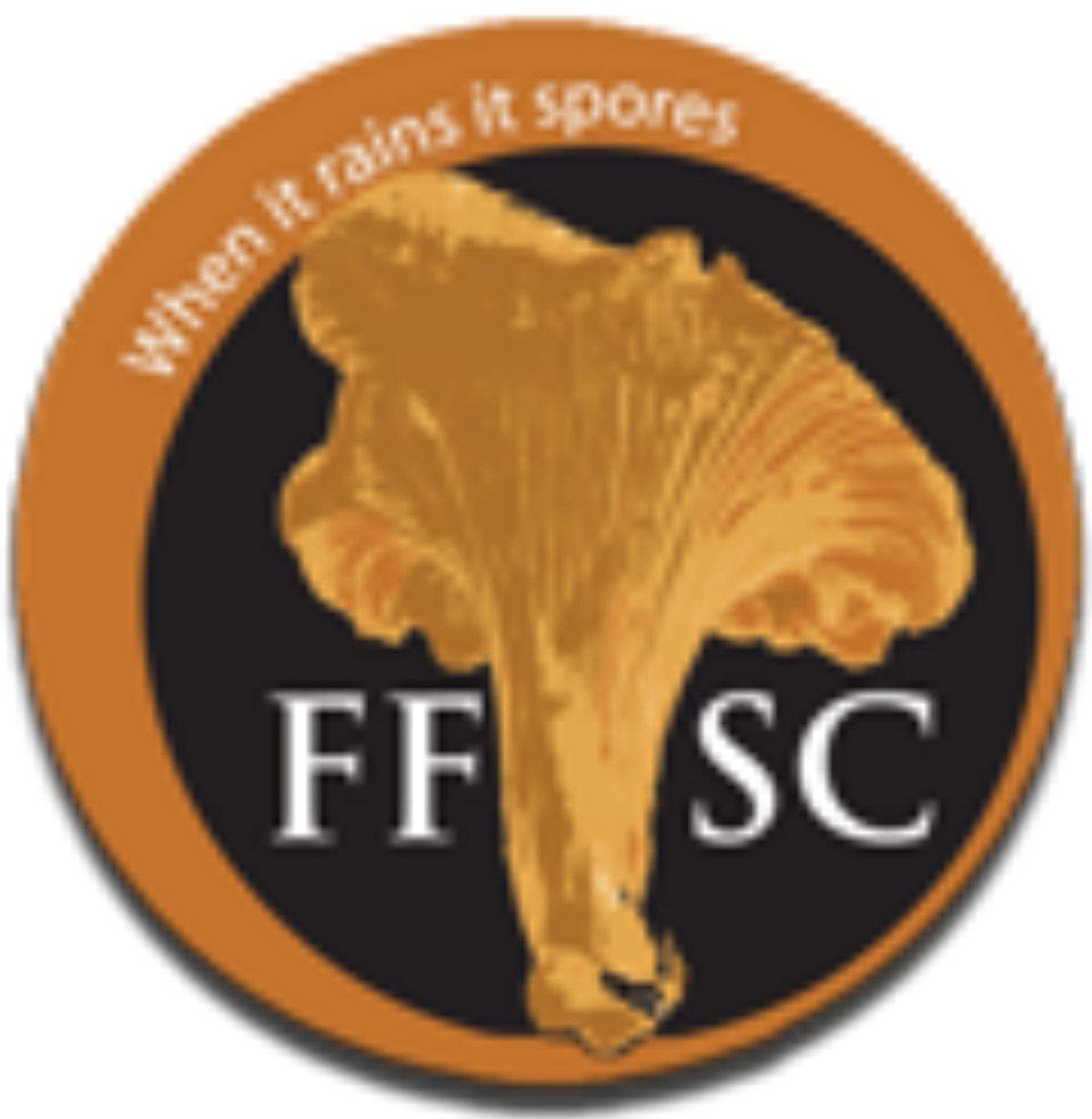 Fungus Federation-santa Cruz (1200x1230), Png Download