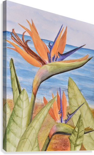 Bird Of Paradise - Paradiesvogel Gruß-karte Karte (311x511), Png Download