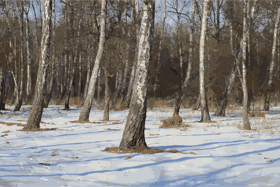 /m/083vt (900x601), Png Download