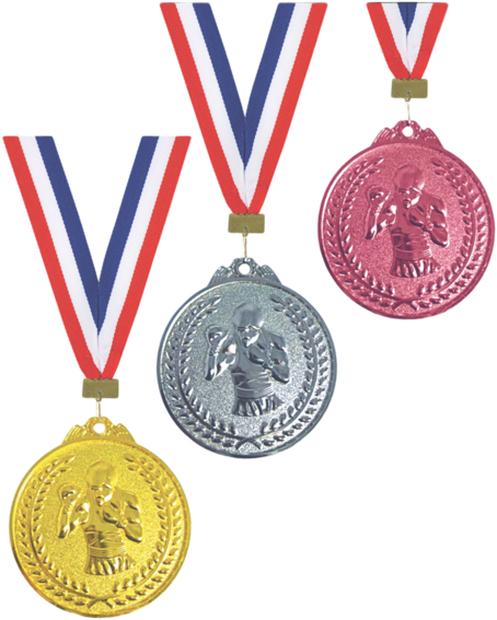 Boxer Medal No - Basketball Gold Medal Png (480x480), Png Download