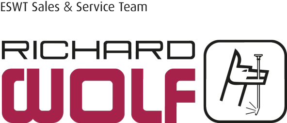 Logo Wolf - - Richard Wolf Gmbh Logo (600x261), Png Download