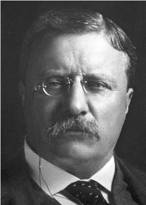Theodore Roosevelt (903x422), Png Download