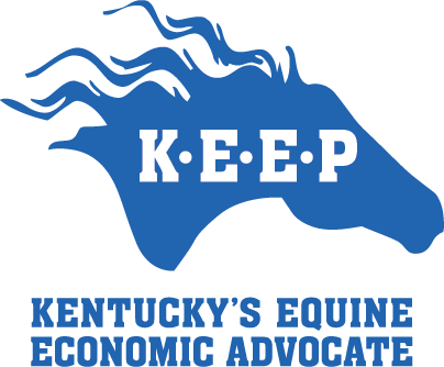 Kentucky Equine Education Project - Horse (404x334), Png Download