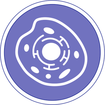 Cells Clipart Biology - T-shirt (360x360), Png Download