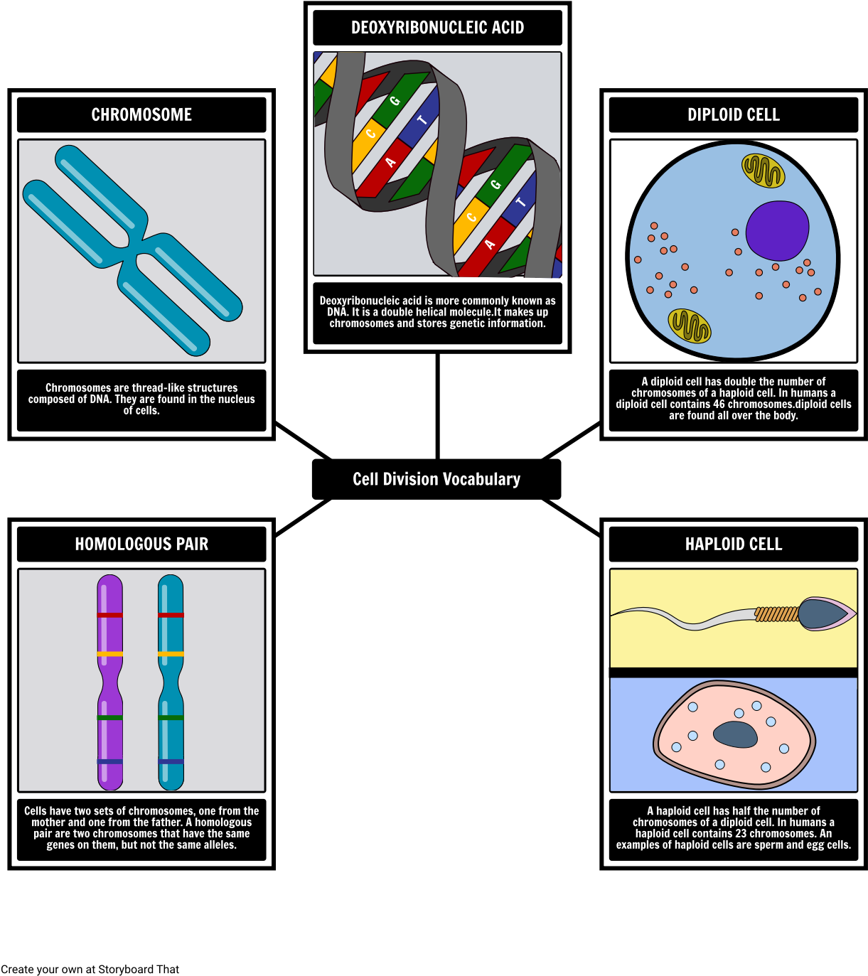 Vocabulary (1249x1399), Png Download