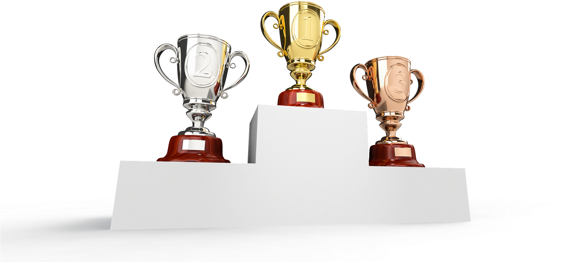 Winner Winner Chicken Dinner - Prize Giving Png (1920x1024), Png Download