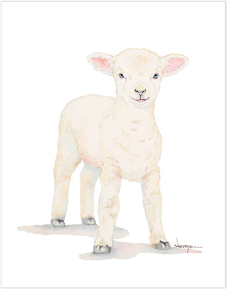 Baby Lamb Wall Art - Art (1000x1000), Png Download