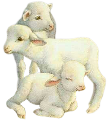 Http - //img7 - Hostingpics - Net/pics/536576tubes - Agnellini Gif (430x470), Png Download
