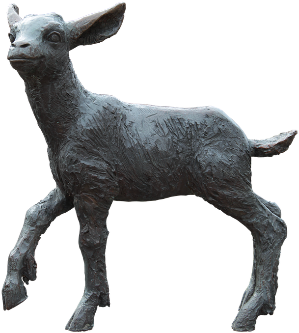 Lamb Png File - Medal (642x720), Png Download