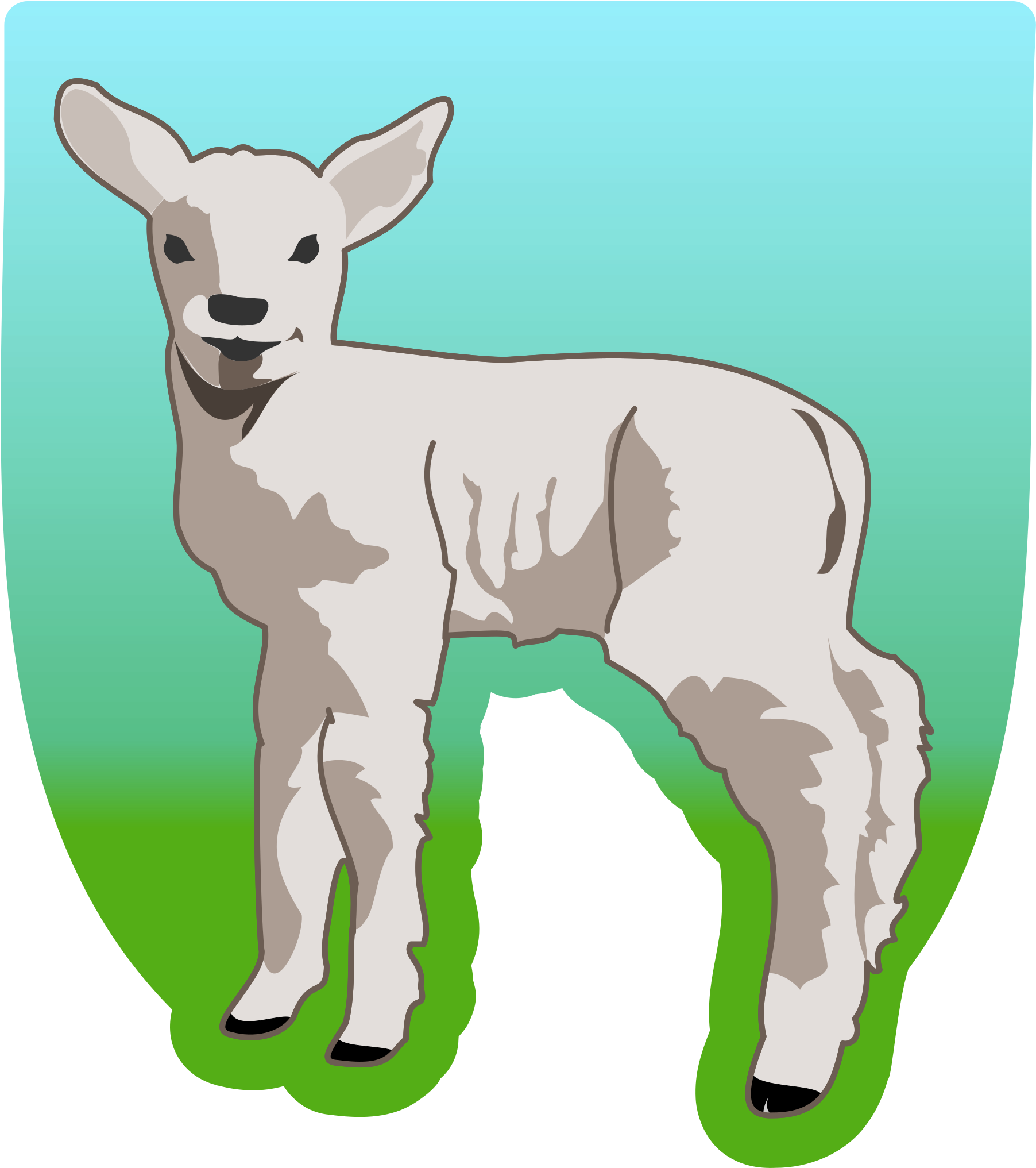 Big Image - Baby Lamb Shower Curtain (2029x2400), Png Download