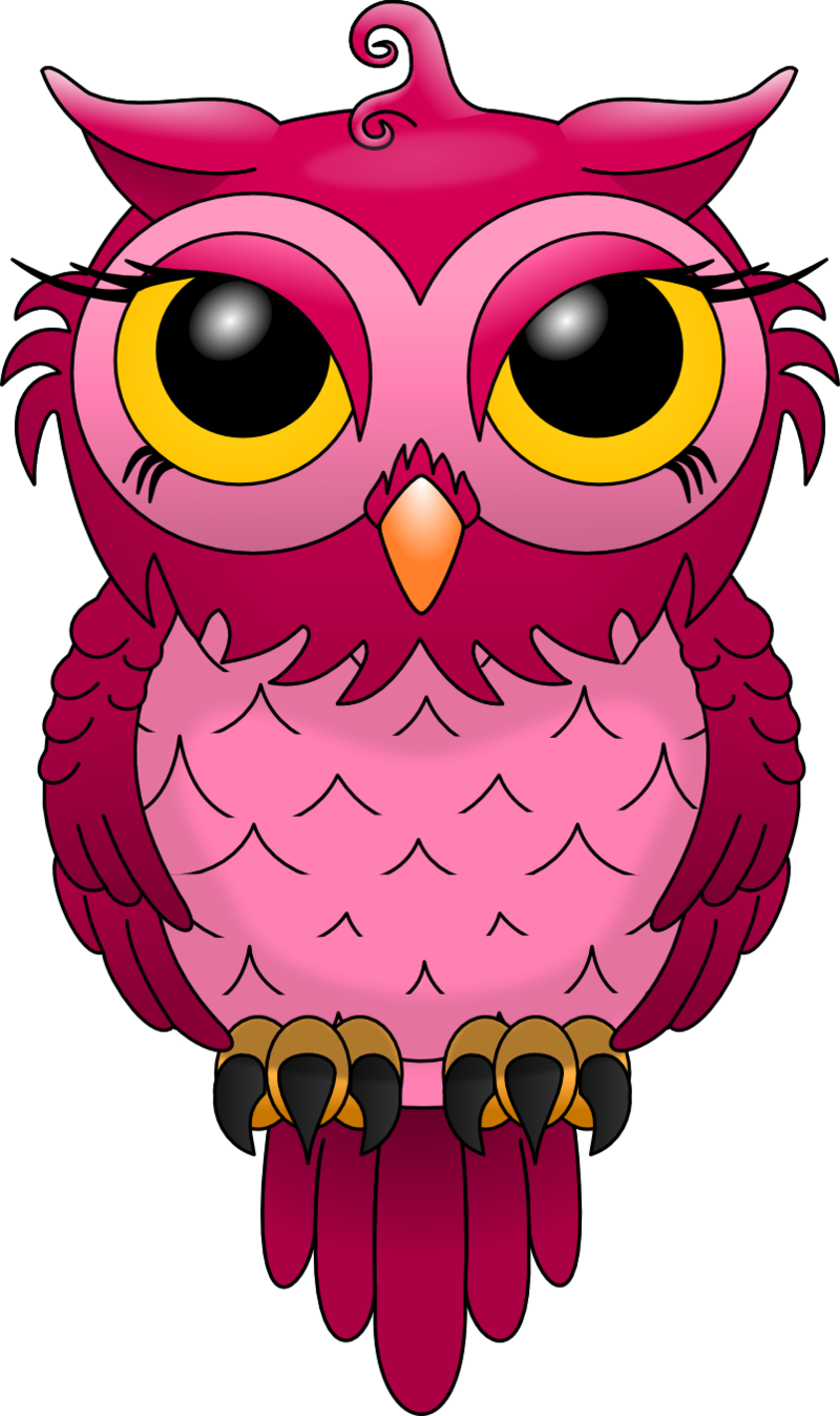 Chouette Les Chouettes - Owl Png (800x1347), Png Download