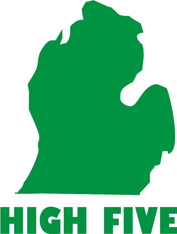 Michigan High Five Shirt - State Of Michigan High Five (738x974), Png Download