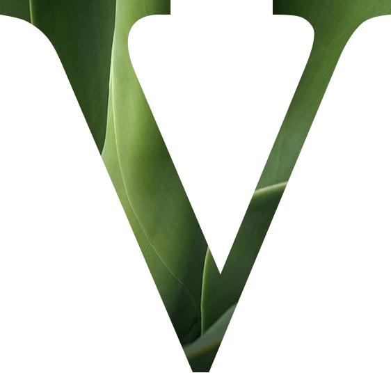 High Five Kids Club Activities From 13 To 19 November - Icon (562x536), Png Download