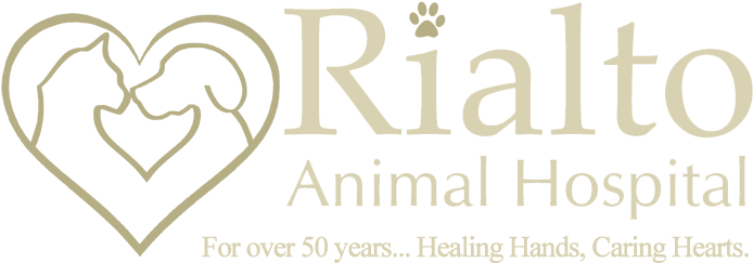 Animal Hospital (700x248), Png Download