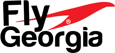 Airline Logo Design For A Company In Georgia - Logo (792x612), Png Download