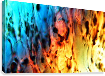 Fire Woman Canvas Print - Tote Bag - Fire Woman By Vida (429x311), Png Download