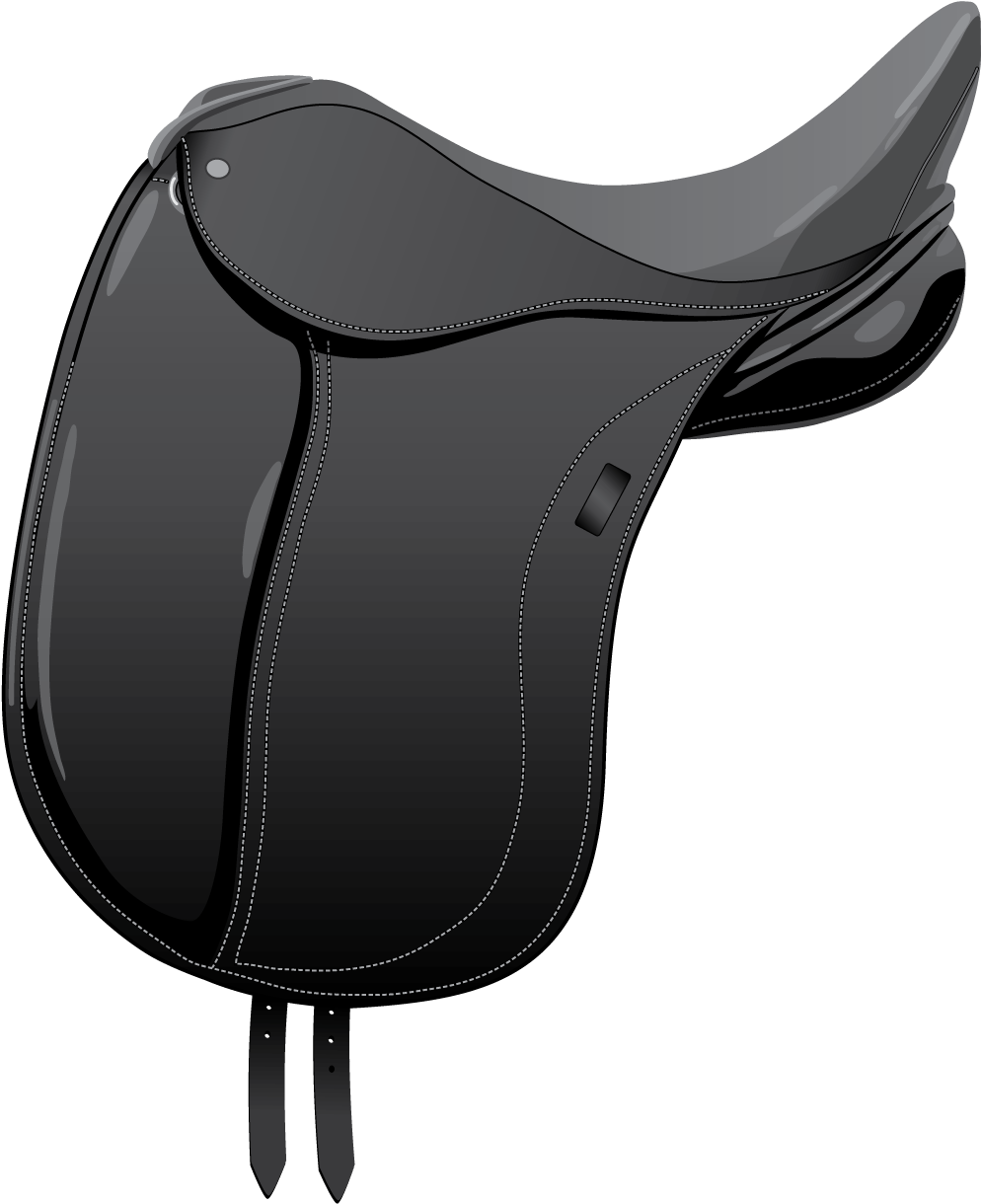 This Type Of Saddle Has A Forward Flap, Often With - White Horse Saddle Png (1800x1400), Png Download