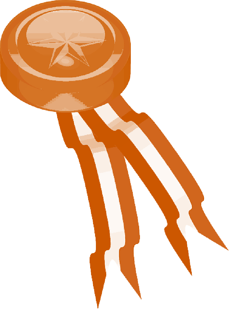 Mb Image/png - Medal Clip Art (800x1080), Png Download