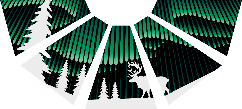 Northern Lights Village Lapland - Northern Lights Illustration (1000x476), Png Download