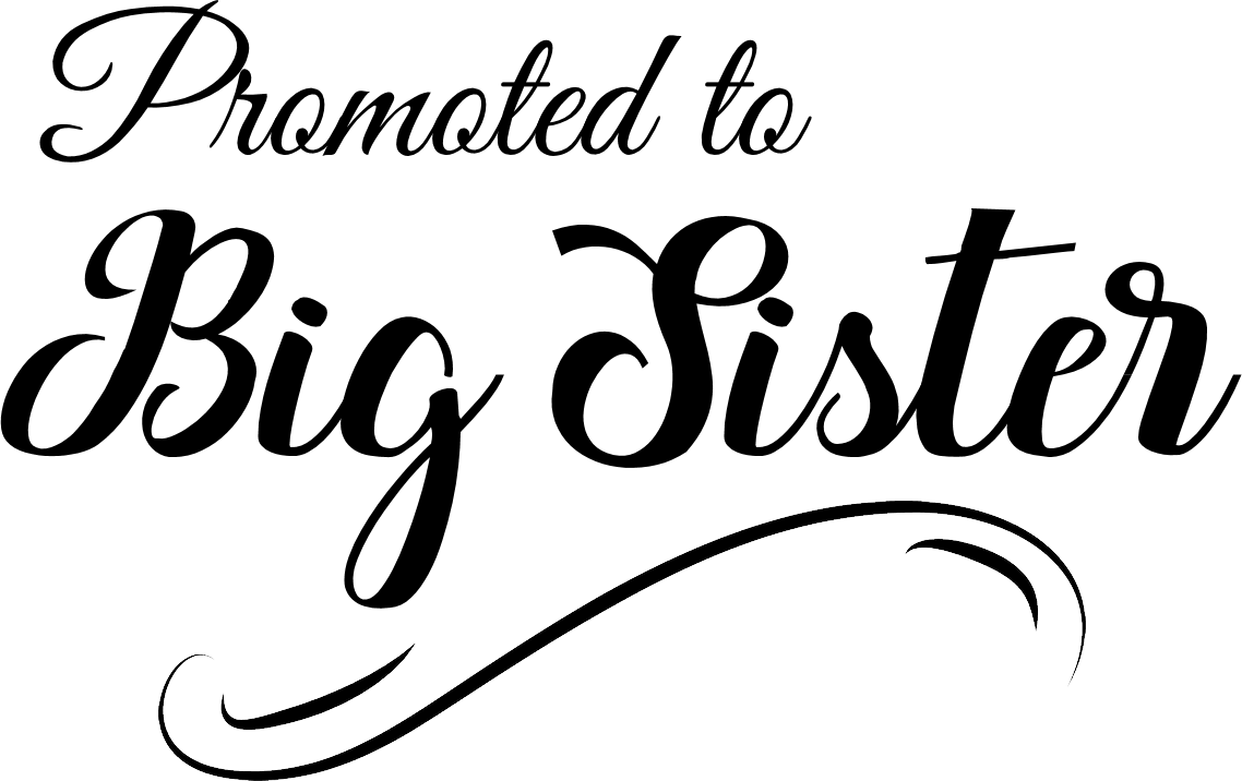 Promoted To Big Sister 1 - Psalms Wall Calendar By Leap Year Publishing (1138x716), Png Download