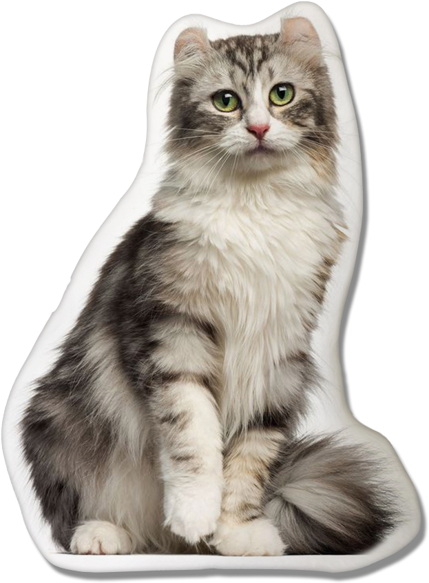 American Curl Pillow - Legowiska Dla Kota (1000x933), Png Download