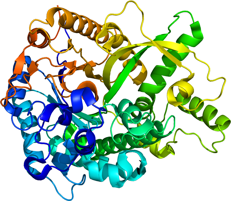 Protein Gba3 Pdb 2e9l - Alpha L Iduronidase (1200x1000), Png Download