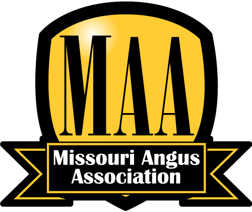 Logo Gold - Missouri (500x420), Png Download