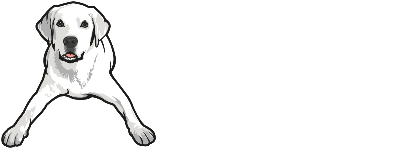 Tucker Pup's Pet Resort - Sarah Tucker: Windowsill Girl Cd (1406x500), Png Download