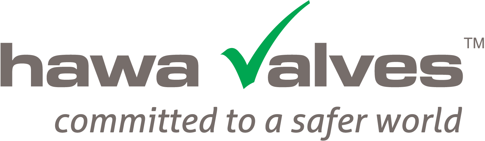 About Us › - Hawa Valves India Pvt Ltd Logo (1566x458), Png Download