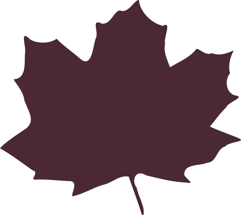 Mb Image/png - Yellow Maple Leaf Clipart (800x715), Png Download
