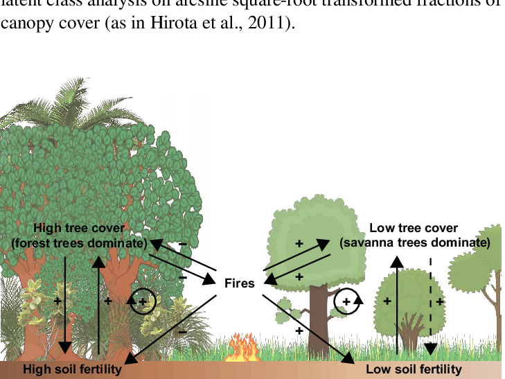 Relations Between Forest Tree Cover, Savanna Tree Cover, - Soil Fertility In Savanna (729x547), Png Download