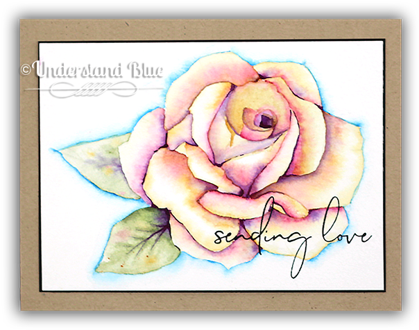Painted Rose Bundle - Hybrid Tea Rose (650x523), Png Download