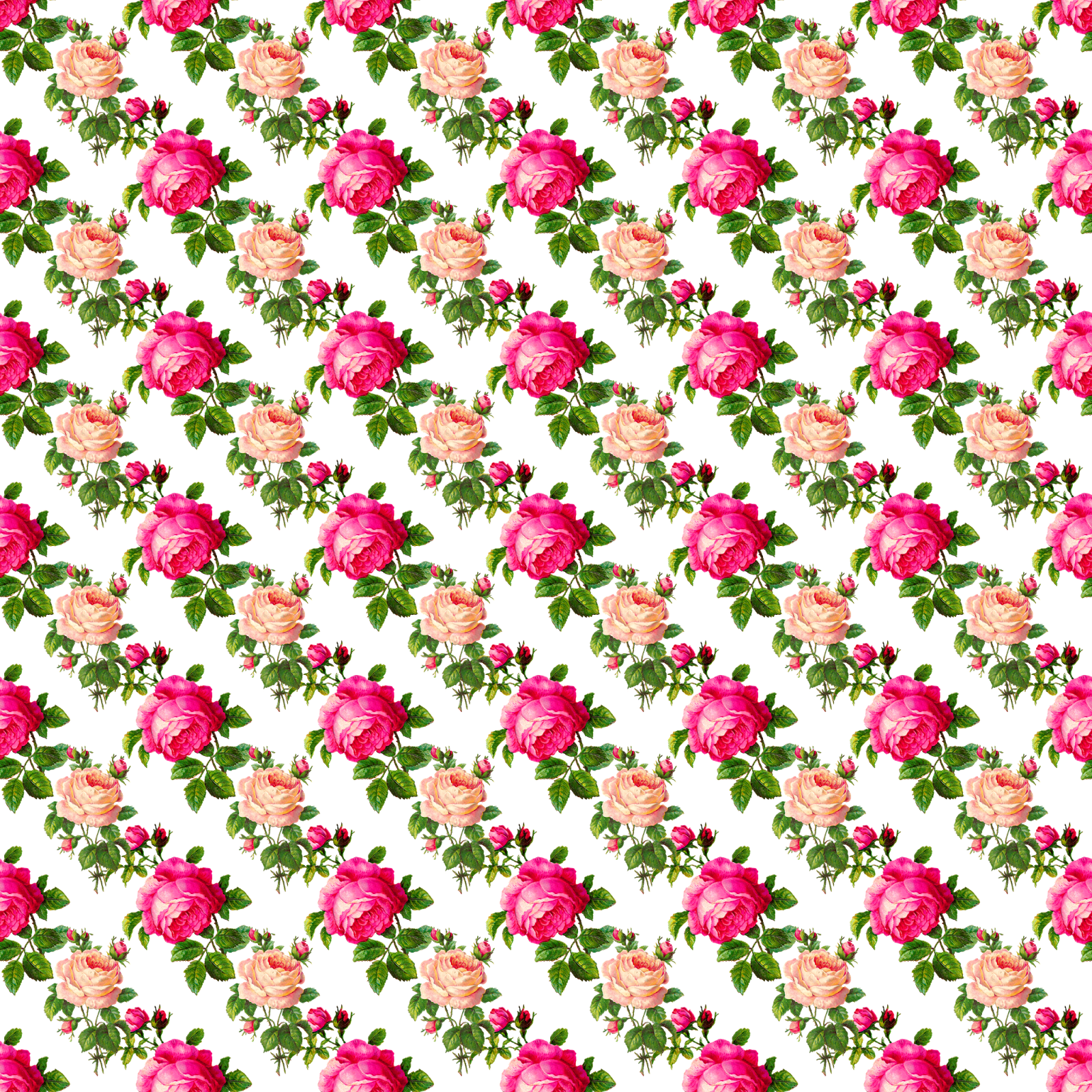 Digital Paper Overlay Design - Dianthus (1600x1600), Png Download