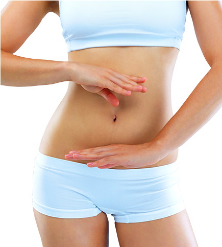 Body - Estomago (434x523), Png Download
