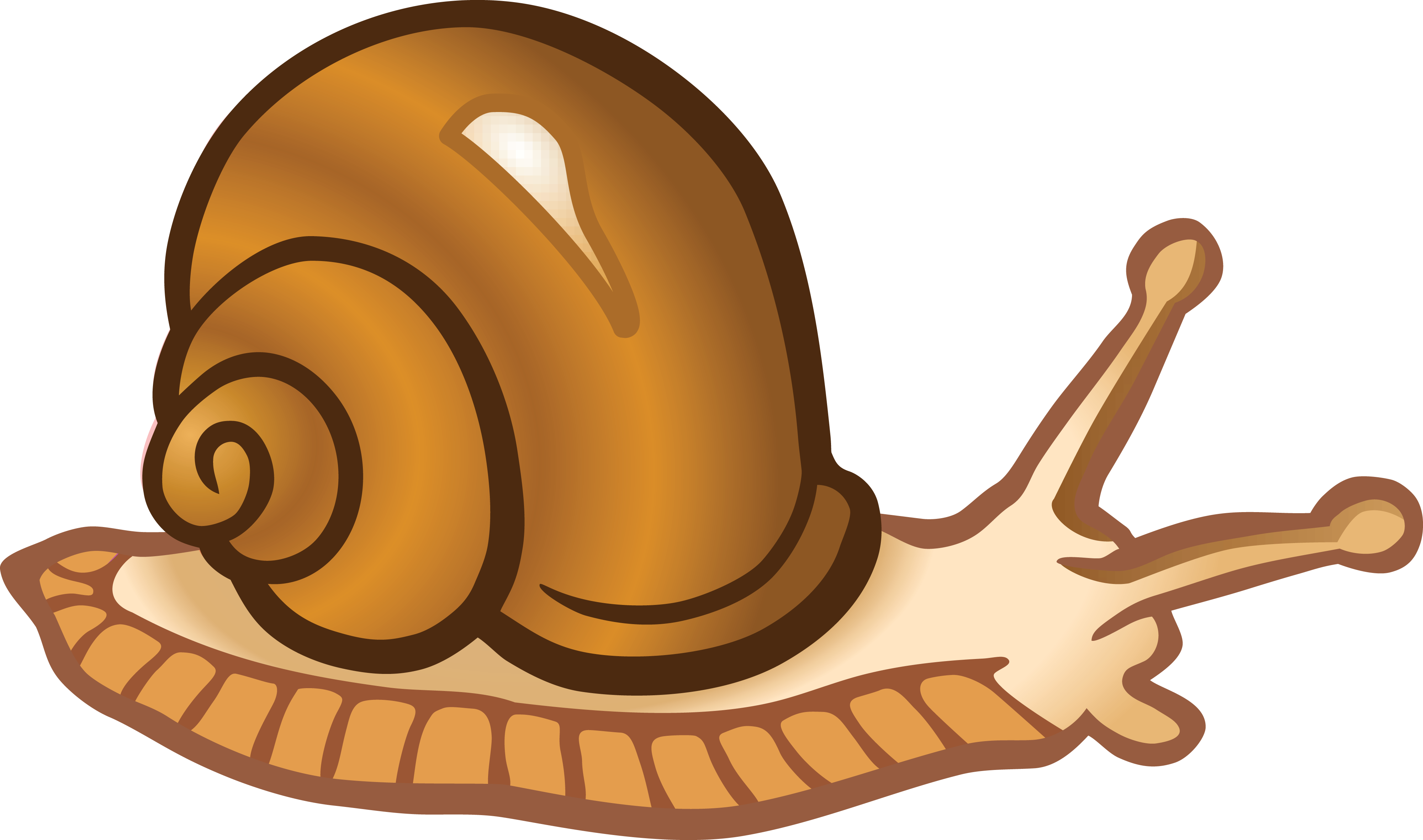 Clipart Of Cute Cartoon Snail K22051251 - Clipart Picture Of Snail (4000x2362), Png Download